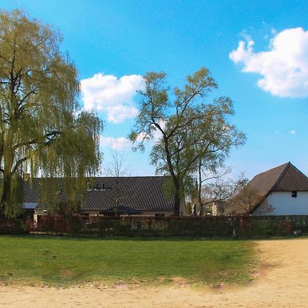 Bouwelhoeve 'T Schuur Grobbendonk Екстер'єр фото